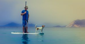 dog friendly stand up paddle boards