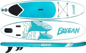 Fayean paddle board copy